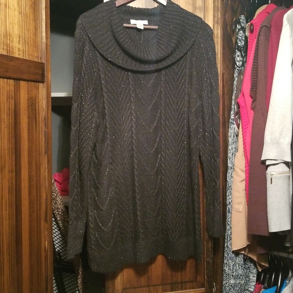 CJ Banks Sweater